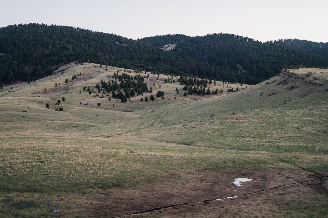 TBD Livingston Peak Road