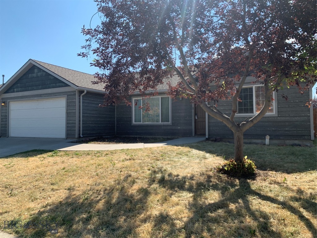 19 Mineral Avenue