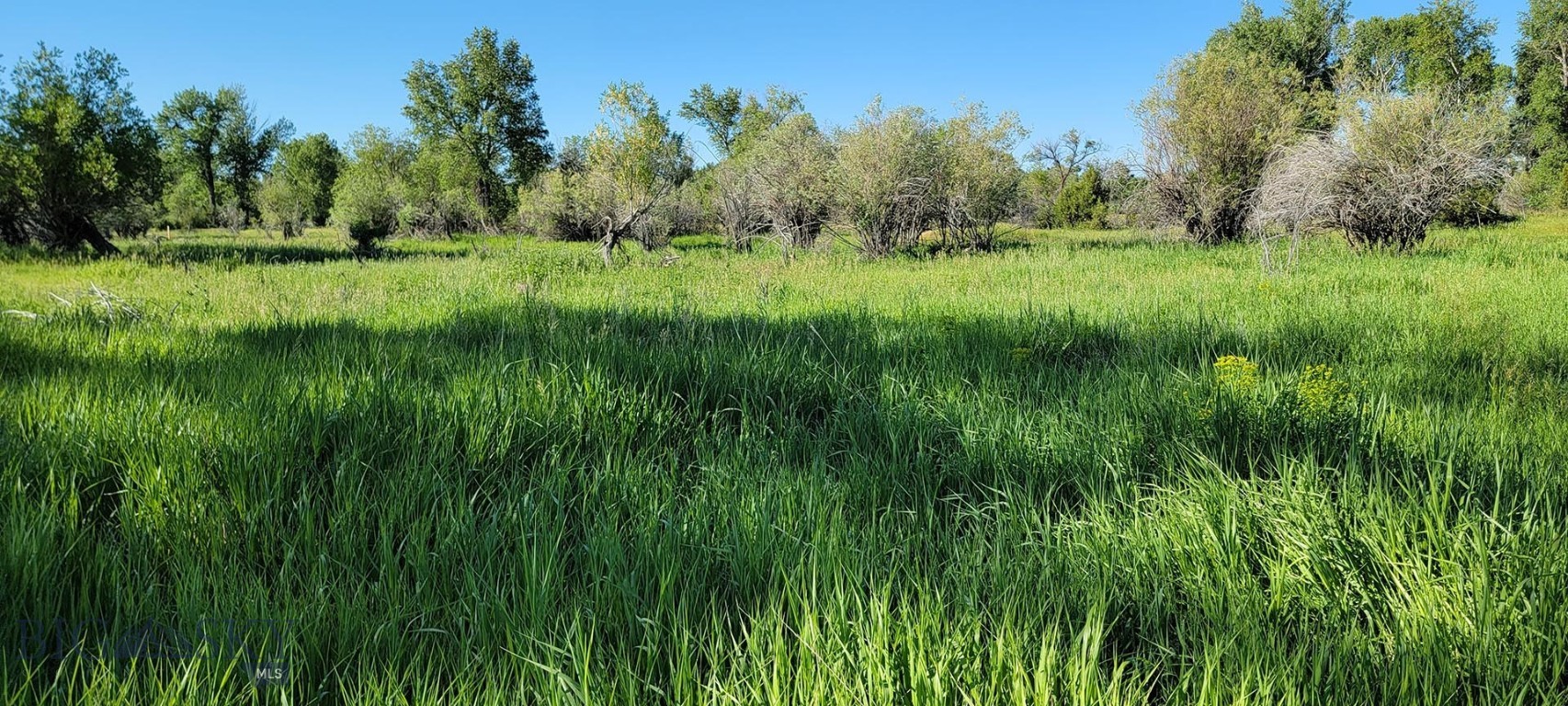 5211 Old Yellowstone Trail