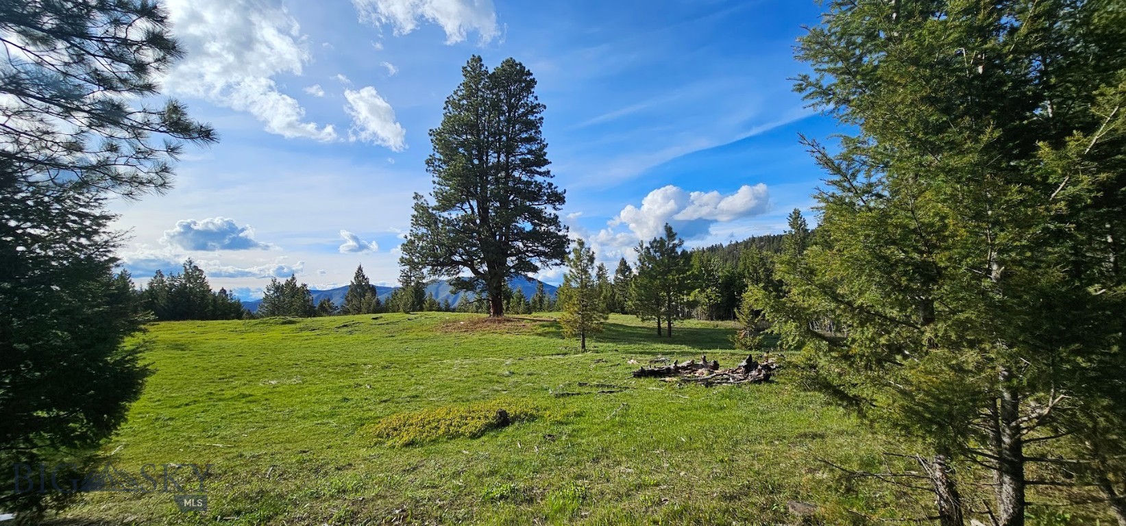5 Tract, Bull Elk