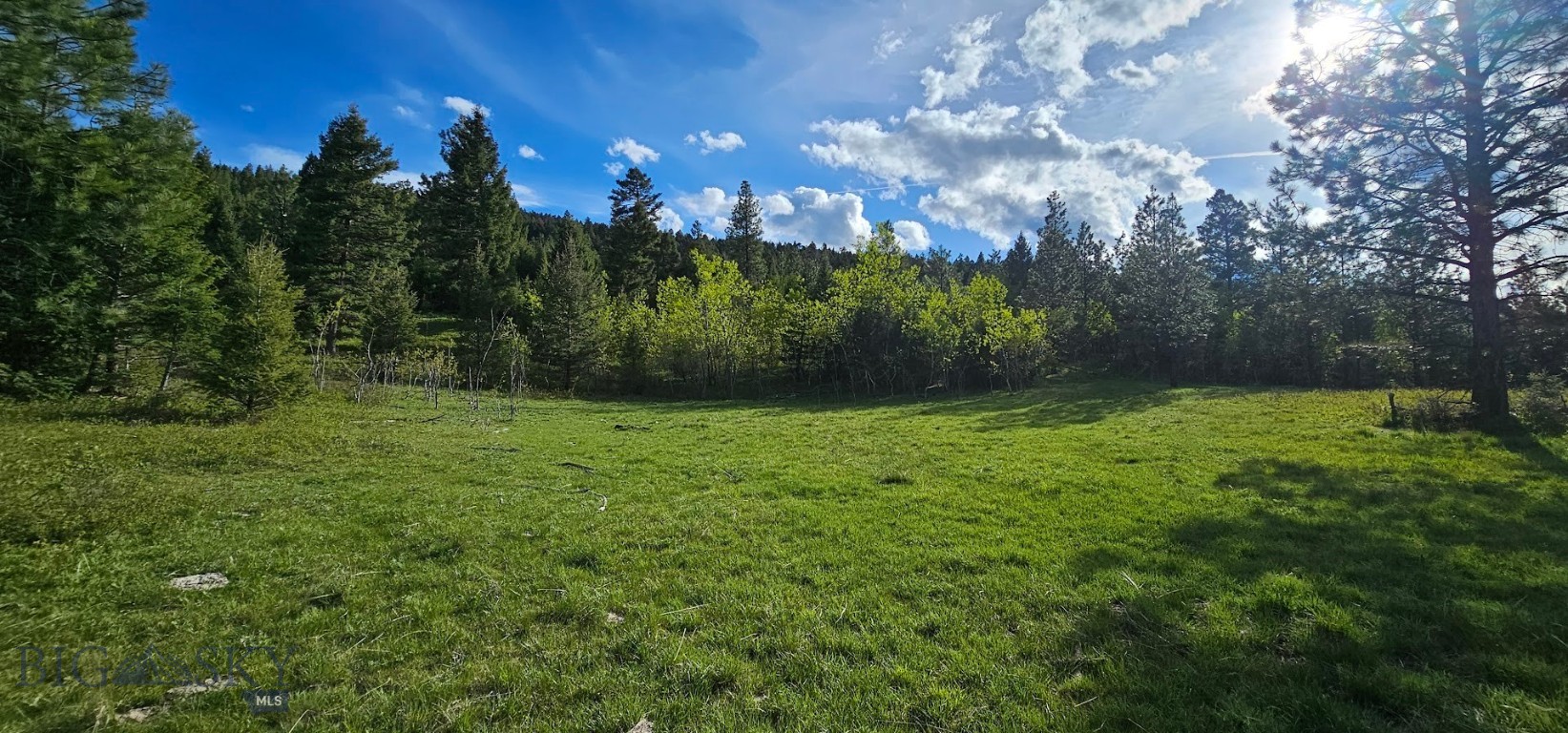5 Tract, Bull Elk