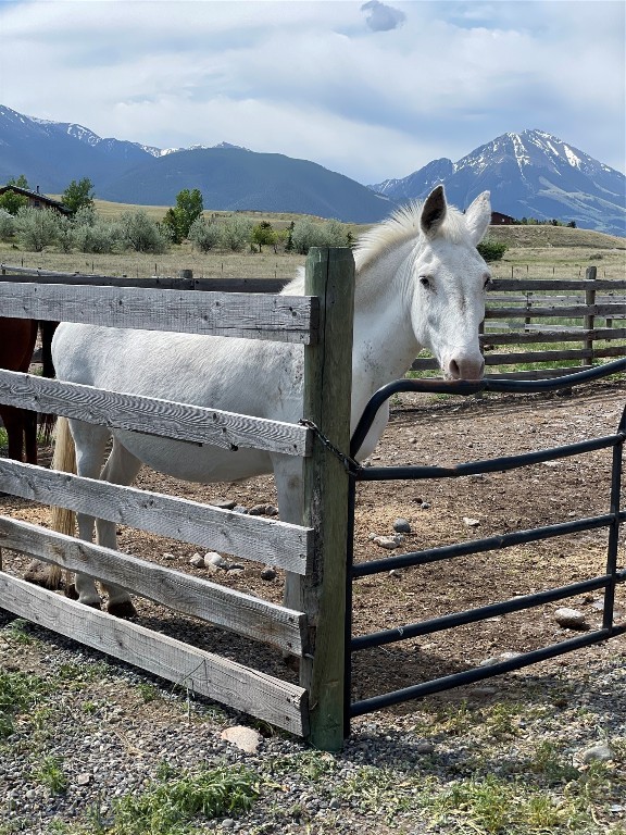 56 Yellowstone Trail